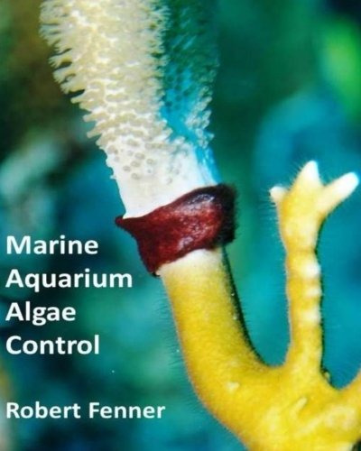 Marine Aquarium Algae Control The Ins And Outputs Of Algal I