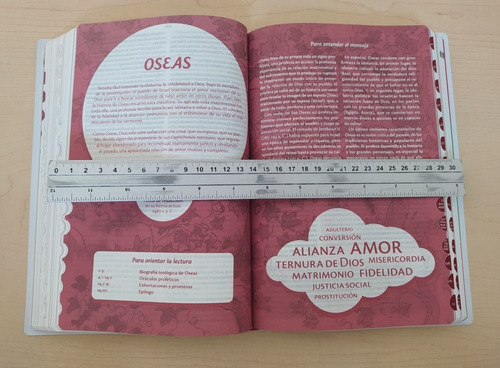 Libro La Biblia Joven Catolica - Pasta Flexible Plastico