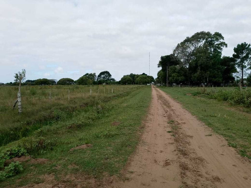 Imagen 11 de 13 de Paraje Pavon Fraccion De 11500 M2