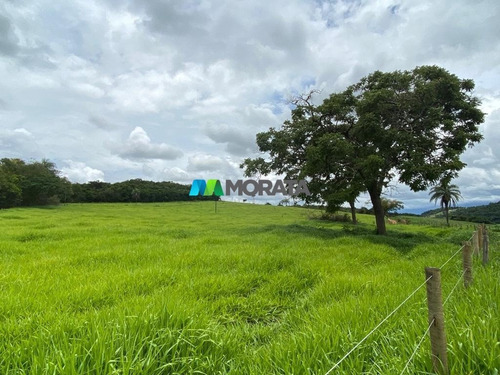 Imagem 6 de 15 de Fazenda - Zona Rural - Ref: 5345 - V-mta5345