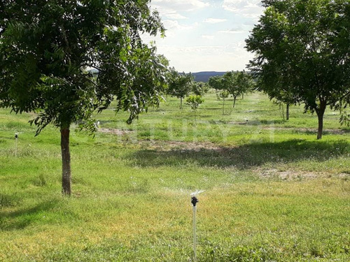 Rancho En Venta En Coyame Chihuahua