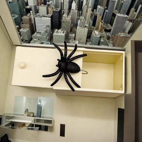 Caja De Madera Araña Bromas Susto Sorpresa