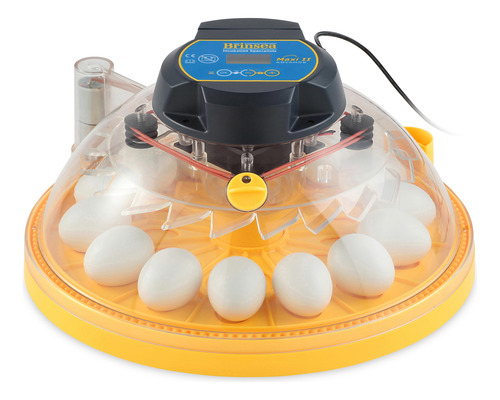Brinsea Maxi 24 Advance Incubadora Automática