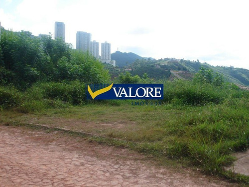 Lote À Venda No Vila Da Serra - 10988