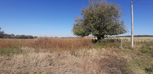 Imagen 2 de 9 de Campo 7ha - Apto Loteo - Con Escritura - Alta Gracia