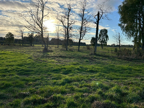 M&k Vende Parcela Hermosa Vista Cond. La Reserva Frutillar