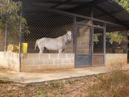 Finca Municipio Tovar Aragua
