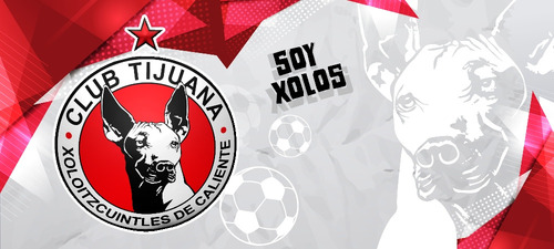 Taza Fut Bol Liga Mx, Equ. Los Xolos De Tijuana, Soy Xolos