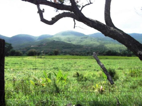 Imagen 9 de 10 de Venta Terreno Centro De Emiliano Zapata