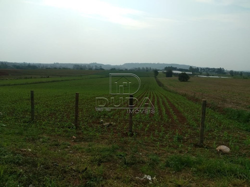 Imagem 2 de 15 de Terreno Comercial - Rio Dos Porcos - Ref: 32079 - V-32076