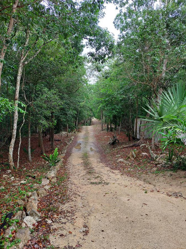 Lote Ecològico En Venta A 8 Minutos De La Estación Del Tren Maya Coba-tulum (1288)