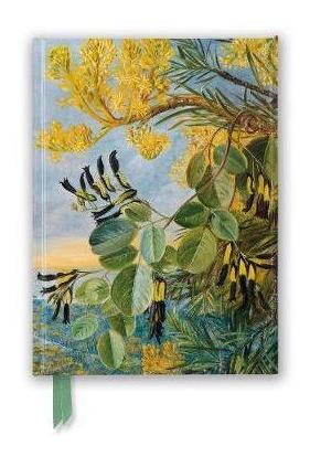 Kew: Marianne North: Flowers Of The Flame-tree And Yellow...
