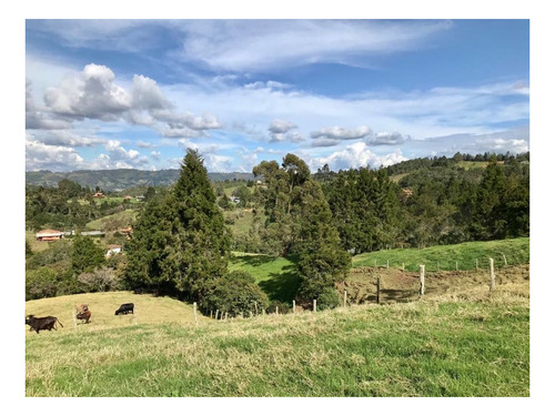 Imagen 15 de 20 de Espectacular Terreno Con Finca Y Pesebrera En Guarne