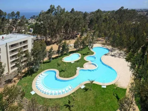 Lindo Y Soleado, 2d Amplios Tipo Mariposa, Mirasol Algarrobo