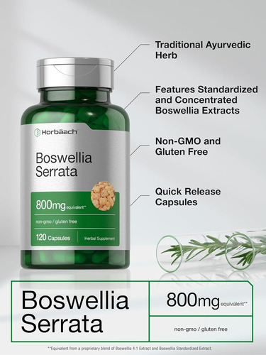Boswellia Serrata 800 Mg X 120 Capsulas - Horbaach Sin Sabor