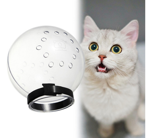 T Gato Isabelino Con Capucha Transpirable Y Antimordidas