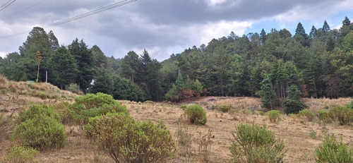 4.2 Hectáreas Con Manantial A 40 Minutos De Valle
