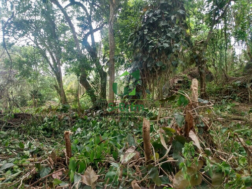 Imagem 4 de 12 de Terreno Em Mairiporã Com 1300m - Escriturado - Excelente Acesso - 666