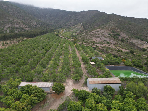 Parcela Agrícola Con Producción En Los Maquis