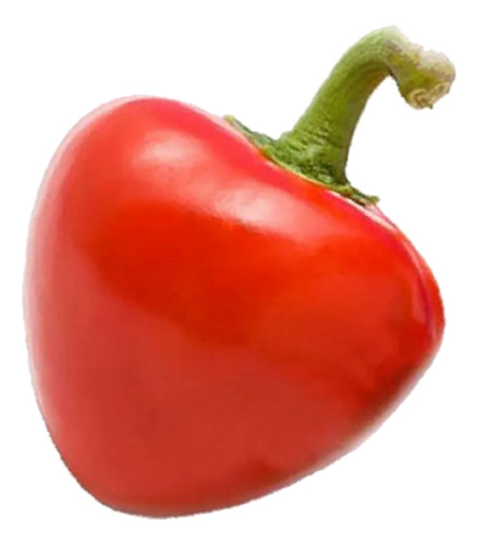 Pimiento Rojo Dulce *pimenton* Semillas