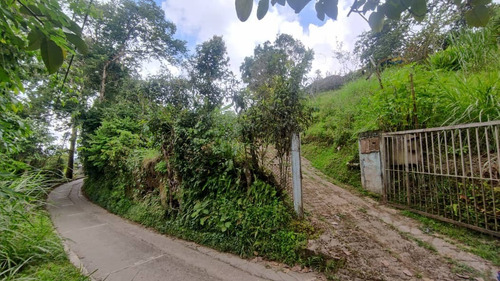 Imagen 1 de 6 de Se Vende Terreno En San Diego De Los Altos Jb