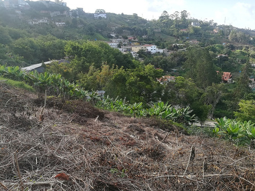 Imagen 2 de 6 de Terreno De 13.100 Mts Urb. La Suiza-san Luis, San Antonio De Los Altos