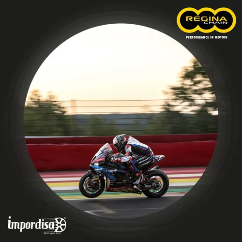 Cadena Urban Regina Dorada 428 X 132 Tvs Apache 160 2v