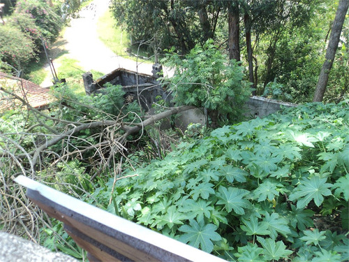 Imagem 10 de 18 de Galpão Com Trifásico E Bom Preço. - Reo523020