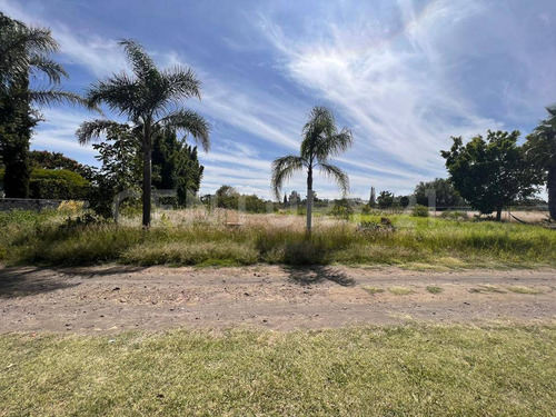 Lote Residencial En Fraccionamiento Los Cipreses, Tenextepec