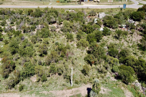 Imagen 10 de 16 de Lote En Cortaderas De 1000m2 - Loteo Campo De Maie