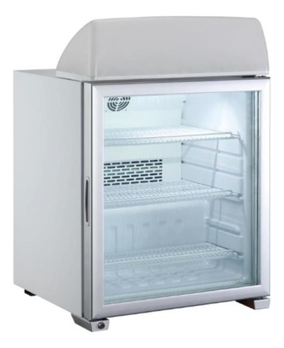 Freezer Vertical Exhibidor Linea Italy 99 Litros