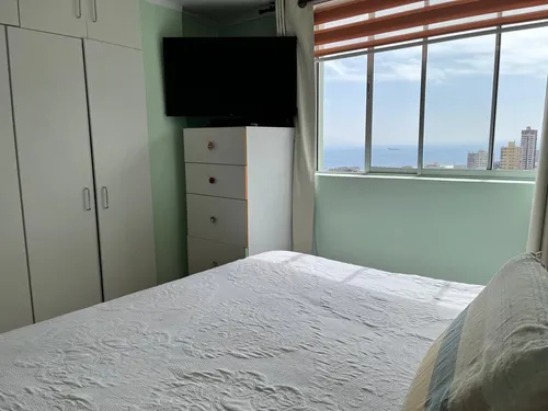 Vista Panorámica En Solido Departamento (98167)