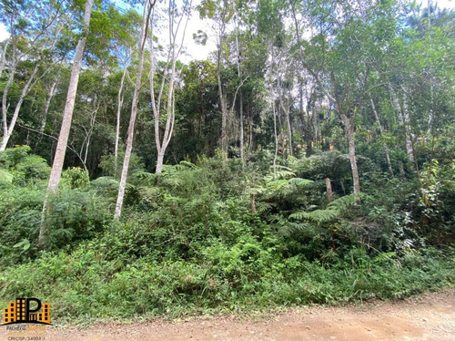 Imagem 2 de 15 de Chácara De 2.500m2 `a 2,5km Do Centro De Juquitiba À Venda Bairro Cachoerinha - Ch07781 - 69454197