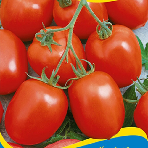 100  Semillas De Tomate Zomok Variedad De Hungría