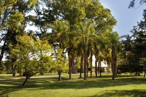 Imagen 9 de 12 de Lote Interno En La Candida Club De Campo
