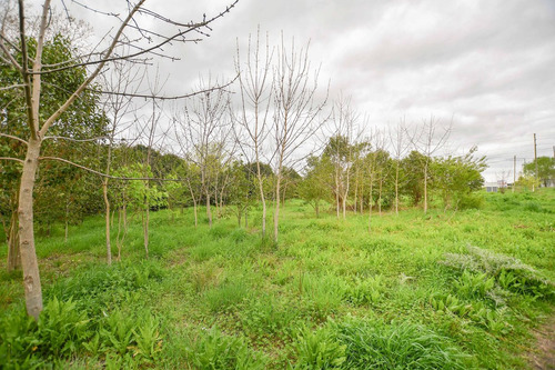 Terreno En Venta La Plata