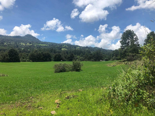Imagen 4 de 13 de Gran Oportunidad Terreno Arenal Para Rancho