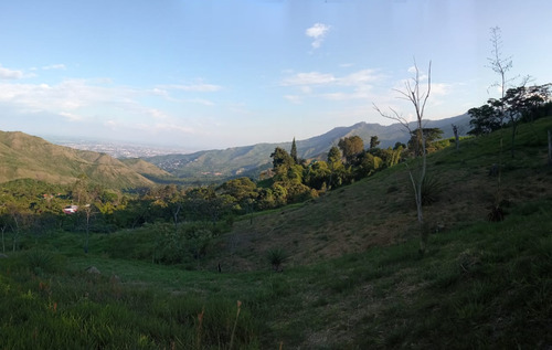 Venta Lote N°6 En Parcelación Campestre Dapa