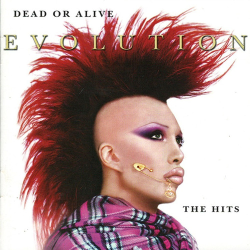 Dead Or Alive / Evolution: The Hits Cd