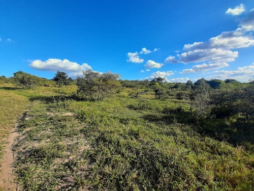 Imagem 9 de 27 de Fazenda Com 377 Tarefas Em Morro Do Chapéu - Bahia - Afd015 - 70334233