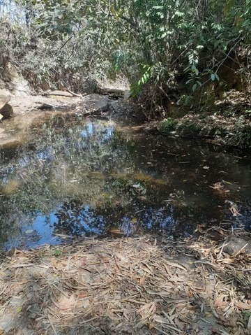 Imagem 12 de 20 de Área Rural De Santo Antônio Do Descoberto Chácara 20000m² - Meuimm318 - 68460371