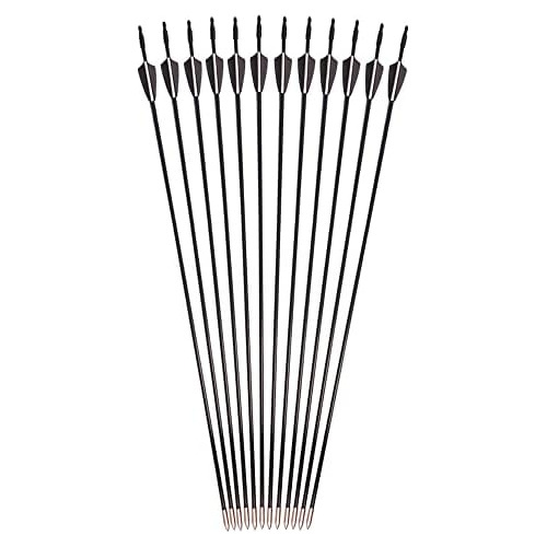 Flechas Principiantes De Arquería (flechas De Fibra De...
