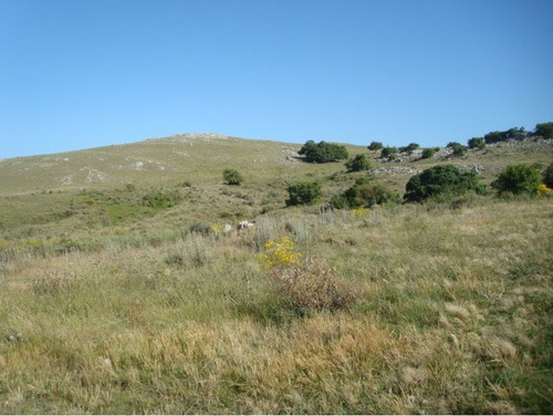 Campo En Venta En Lavalleja, 5 Hectáreas.