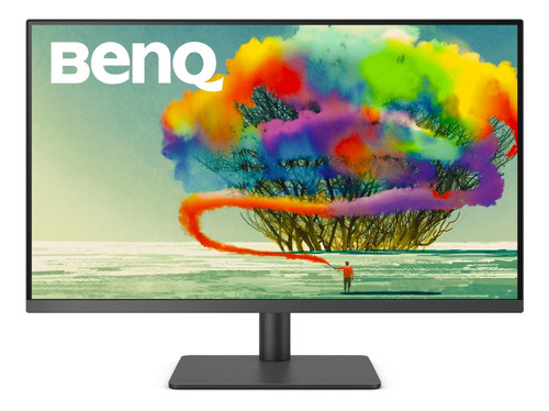 Monitor gamer BenQ PD3205U LCD 31.5" negro 100V/240V