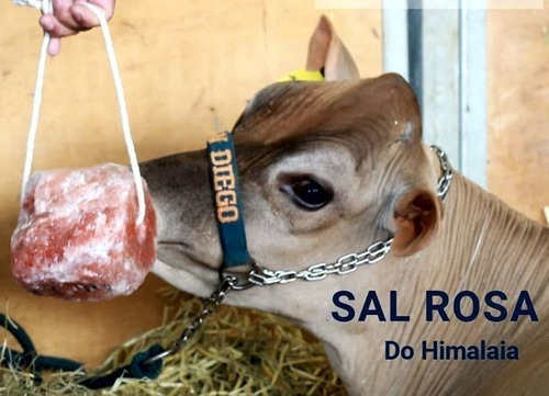Imagem 3 de 8 de Sal Rosa Himalaia Cavalo Equino Bovino Caprino 1 Bloco Pedra