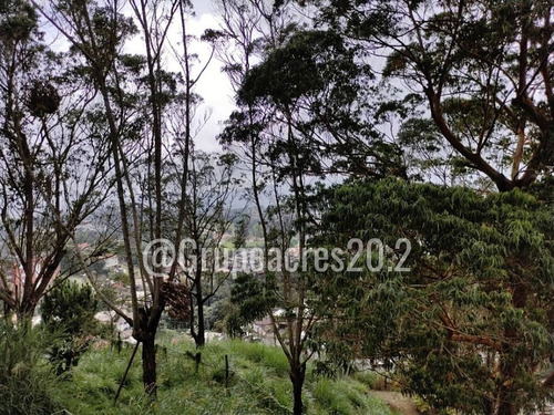 Imagen 23 de 23 de En Venta Apartamento Duplex Ubicado En Llano Alto, Los Jardines Carrizal Lomas De Urquia Rz