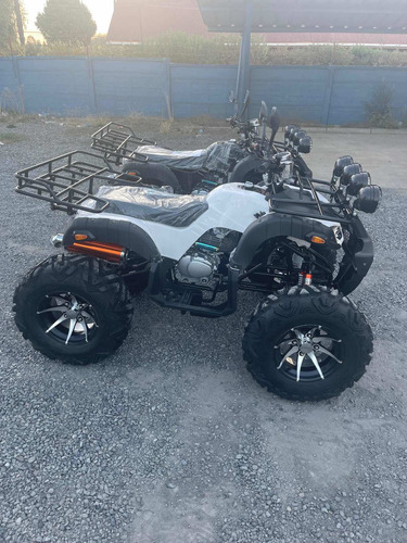 Imagen 7 de 10 de Heng Jun Atv 250 Cc