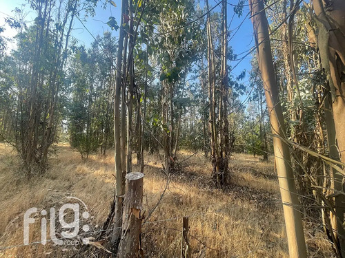 Venta De Terreno En San Nicolás Naturaleza Y Tranquilidad