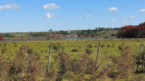 Imagen 5 de 21 de Chacra A Metros De La Ruta 12 Con Frente A La Laguna Del Sauce. - Punta Ballena Laguna Del Sauce