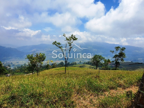Imagen 20 de 30 de Amplia Finca En Venta Mérida, Chiguará